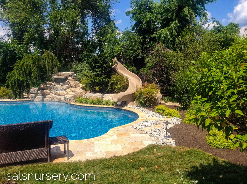 Pool Slide integrated with Landscaping