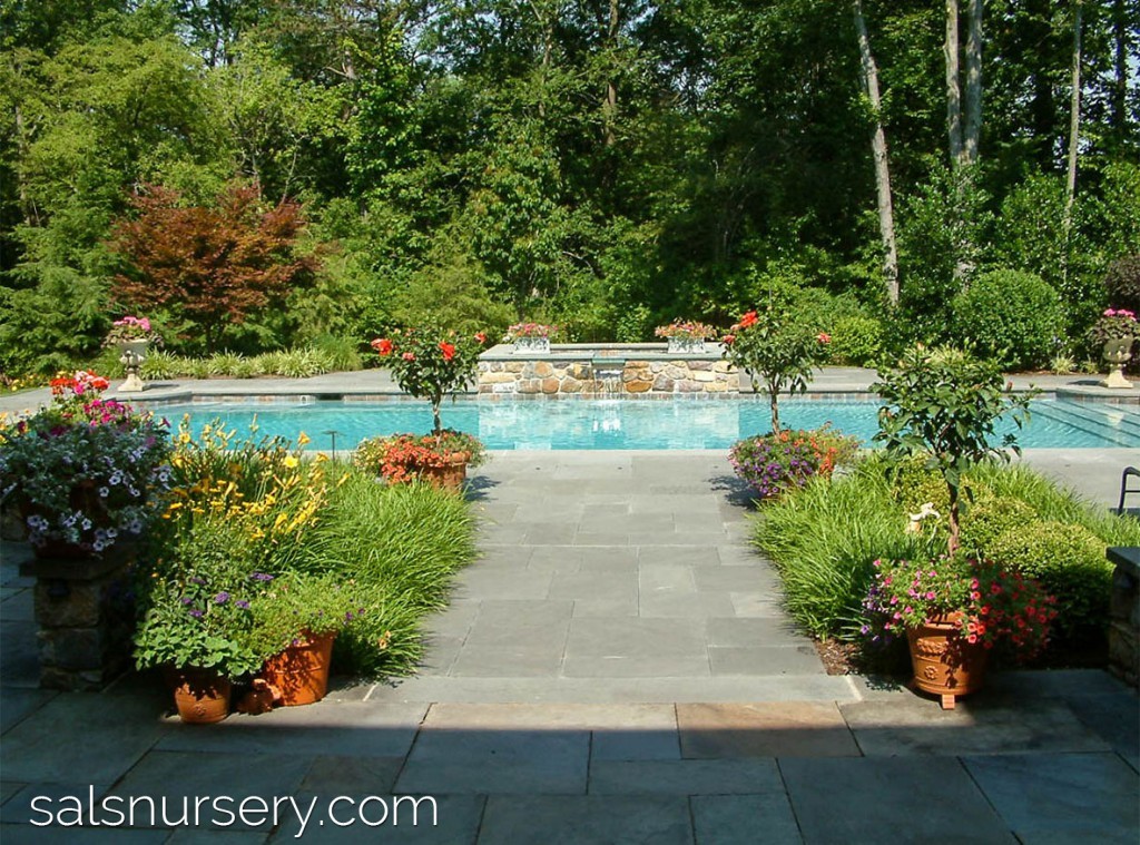 Rectangle Pool with Spa and water feature