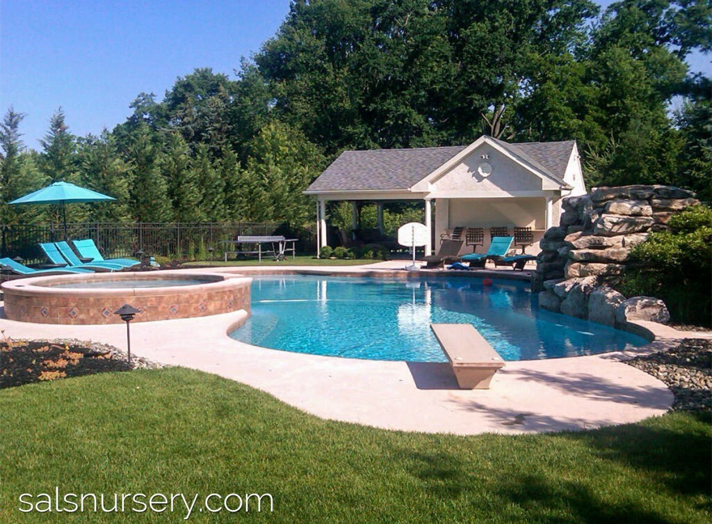 Pool with diving board and attached spa