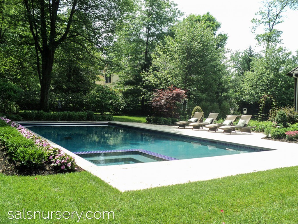 Rectangle Pool with integrated spa