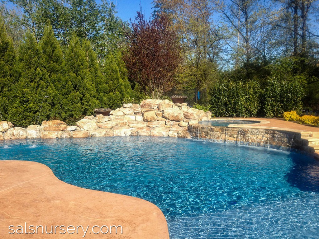 Large pool with boulders and built in spa