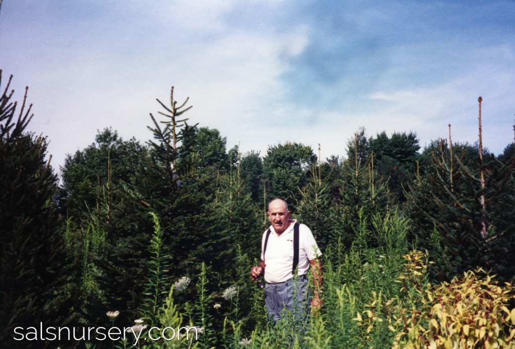 Founder of Sal's Nursery & Landscaping - Sal Antonucci