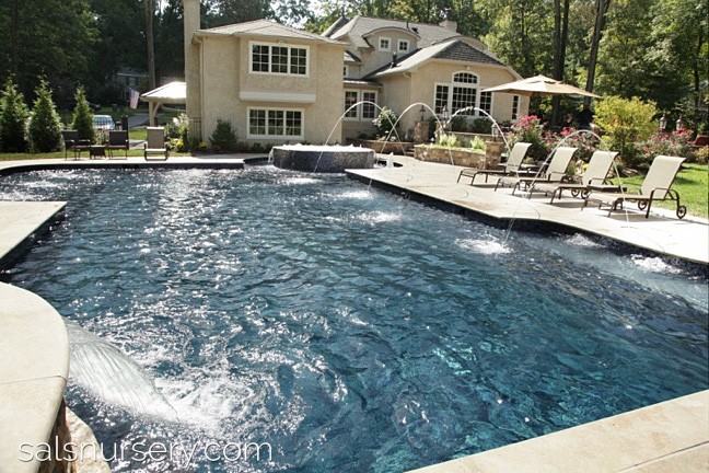 Large pool with spa and water features