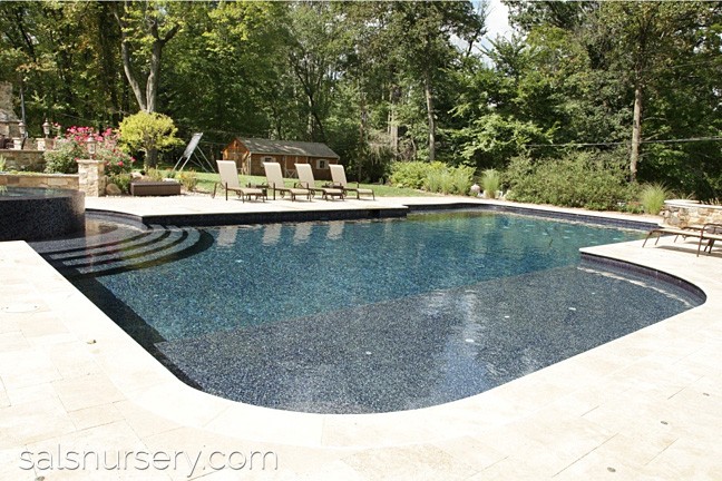Large in ground pool with lounge chairs