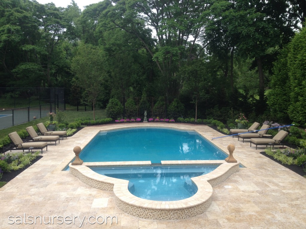 Large pool with spa and lounge chairs