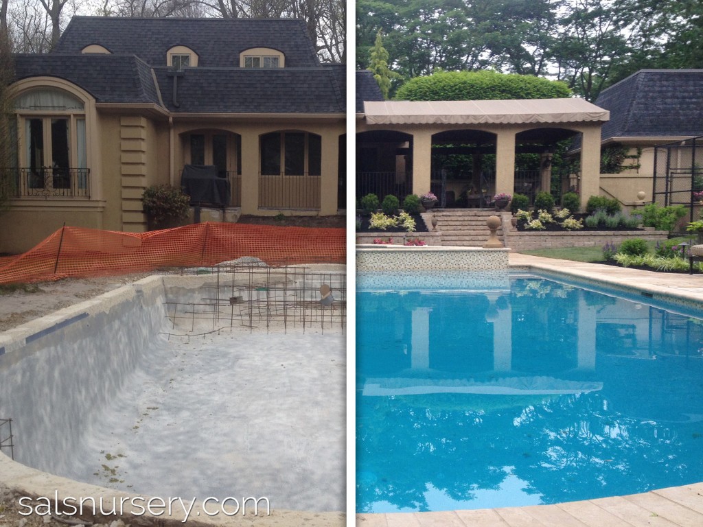 Before And After Image of Pool
