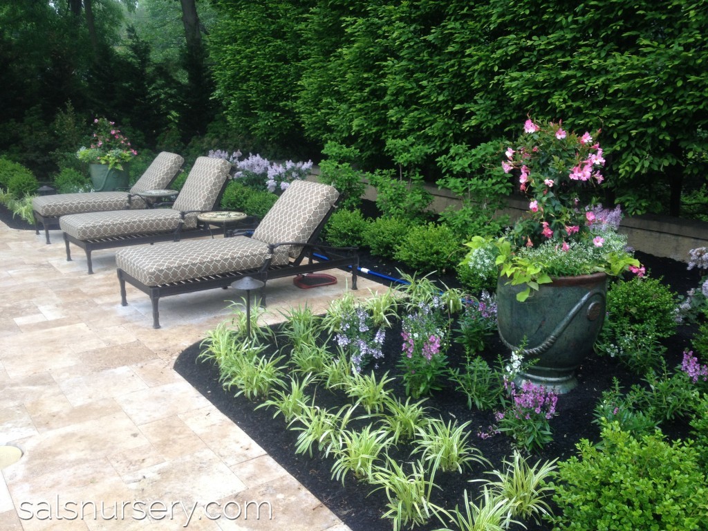 Landscaping Surrounding Lounge Chairs