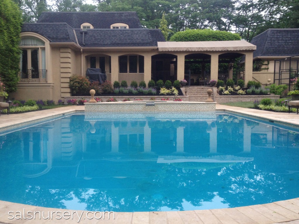 Pool with covered patio and landscaping