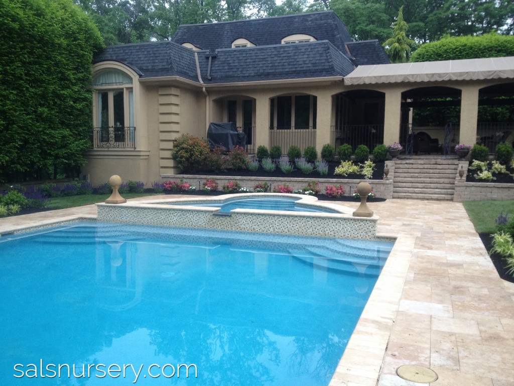 Pool with Spa and landscaping