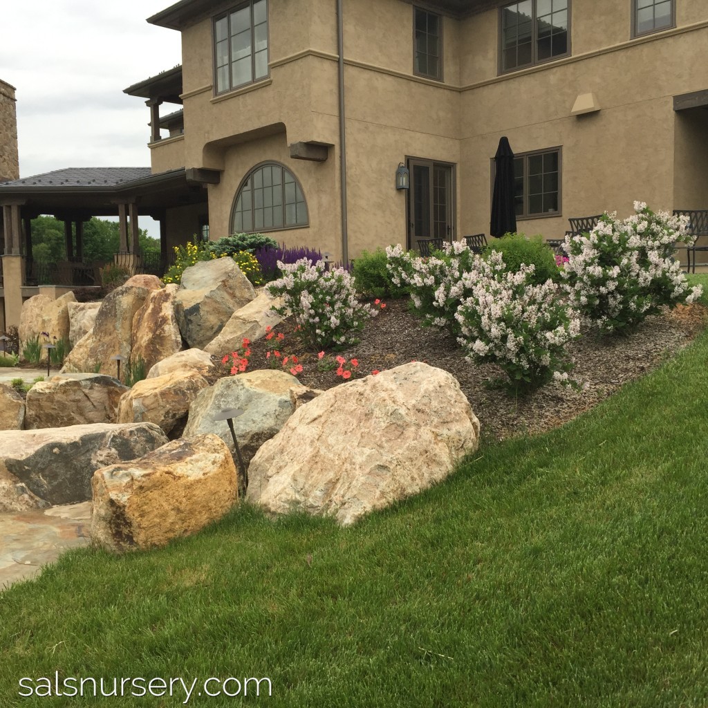Landscaping with flowers and boulders