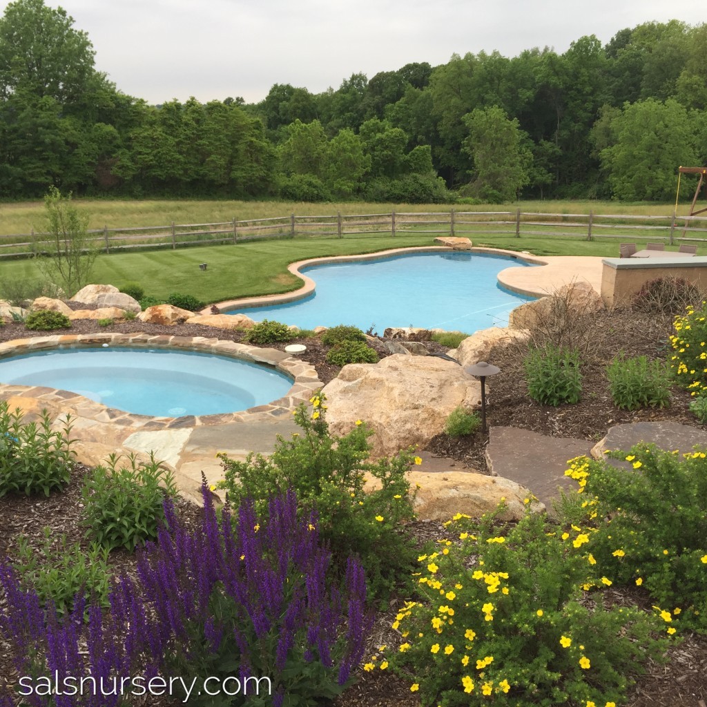 Large Pool and Spa with landscaping