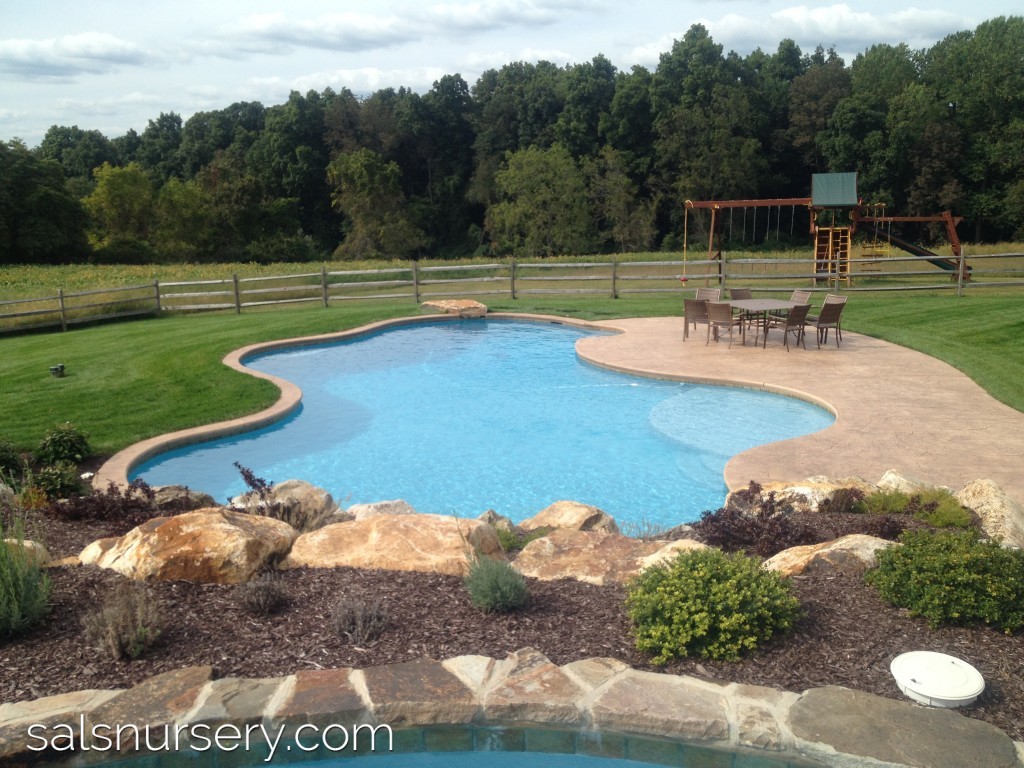 Organic Shaped Pool with Outdoor Furniture