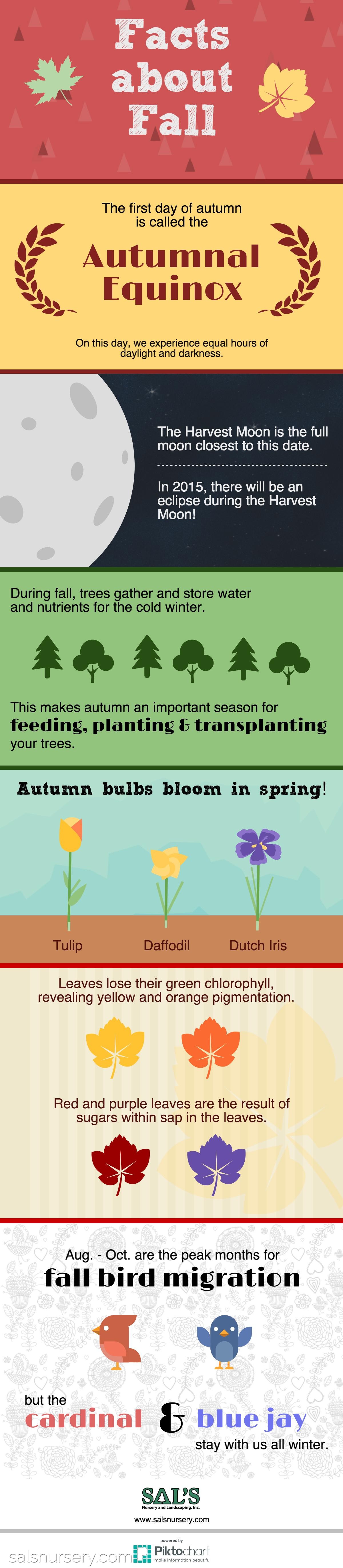 fun-fall-facts-sals-nursery-and-landscaping