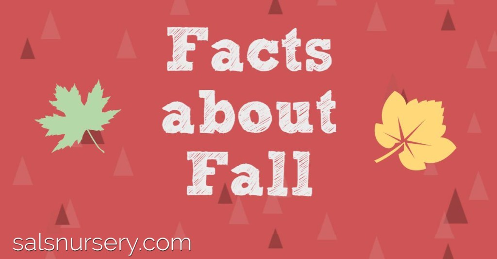 fun-fall-facts-sals-nursery-and-landscaping