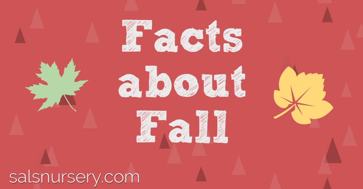 Fun Fall Facts Sals Nursery And Landscaping