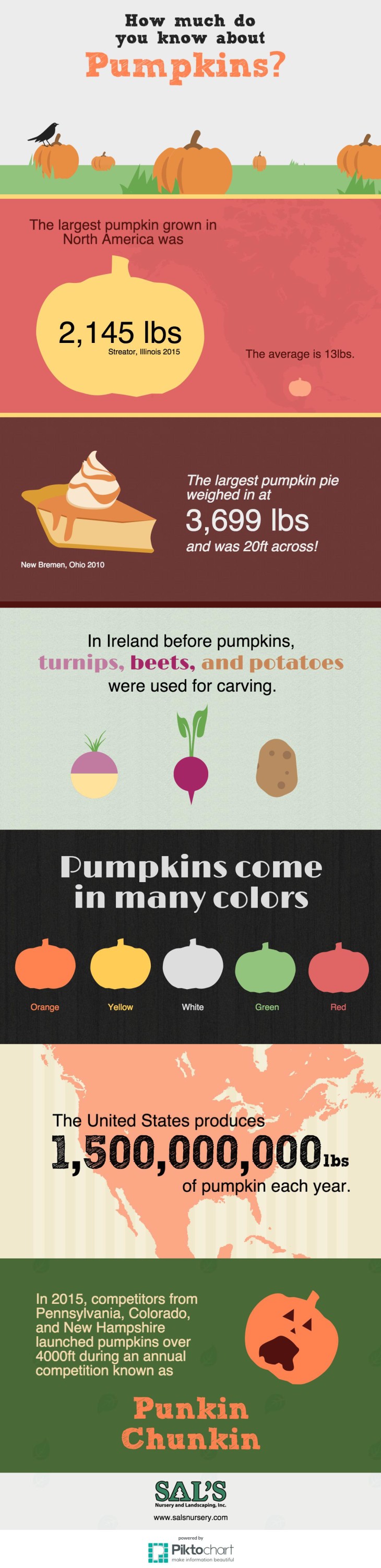 Pumpkin facts infographic