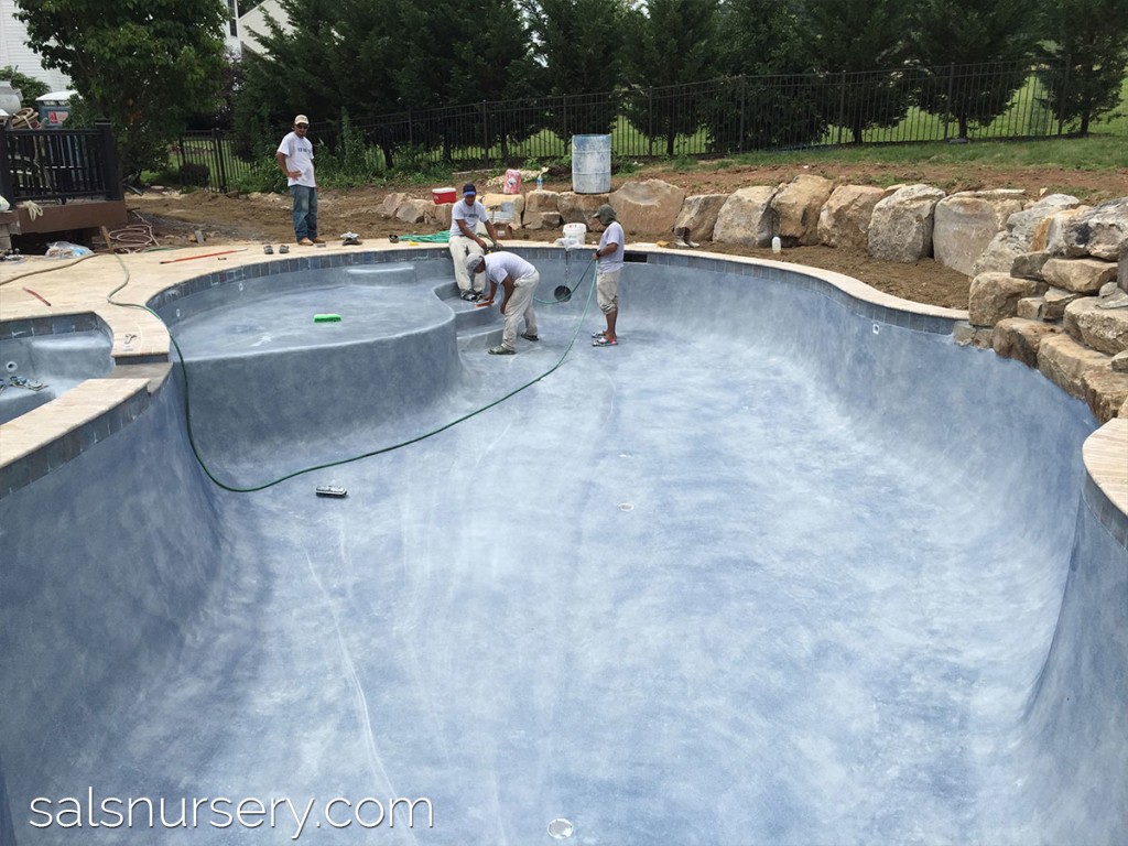 Pool with Vinyl Liner and Coping
